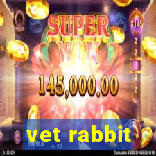 vet rabbit